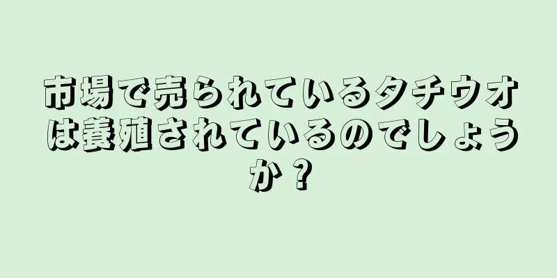 市場で売られているタチウオは養殖されているのでしょうか？