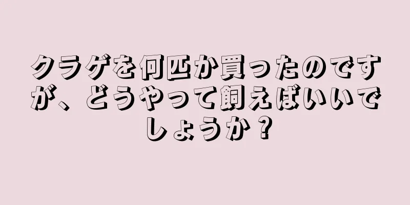 クラゲを何匹か買ったのですが、どうやって飼えばいいでしょうか？
