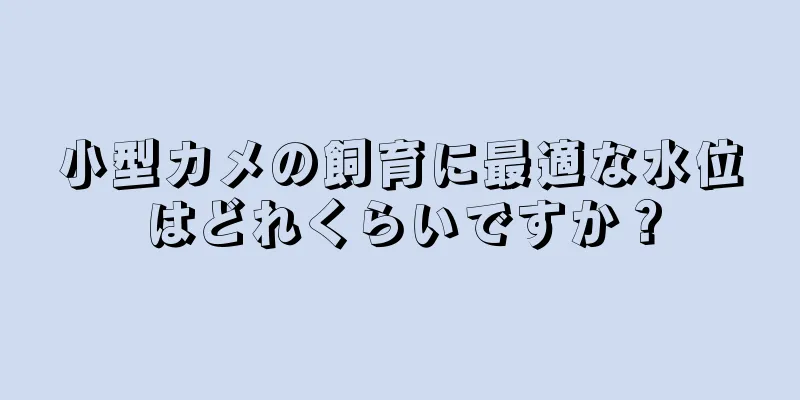 小型カメの飼育に最適な水位はどれくらいですか？