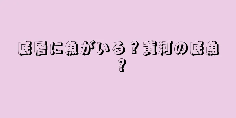 底層に魚がいる？黄河の底魚？