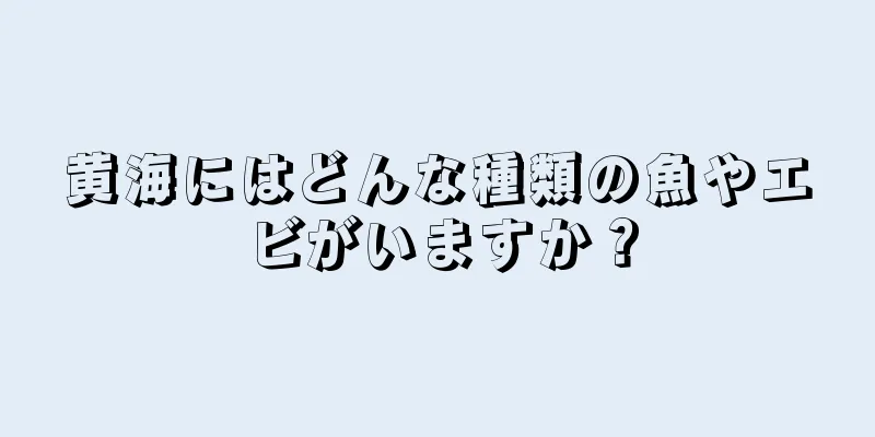 黄海にはどんな種類の魚やエビがいますか？