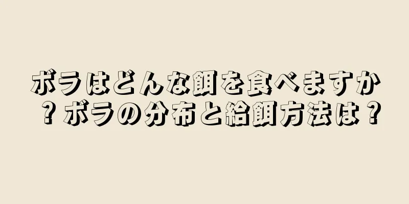 ボラはどんな餌を食べますか？ボラの分布と給餌方法は？