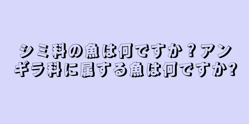 シミ科の魚は何ですか？アンギラ科に属する魚は何ですか?