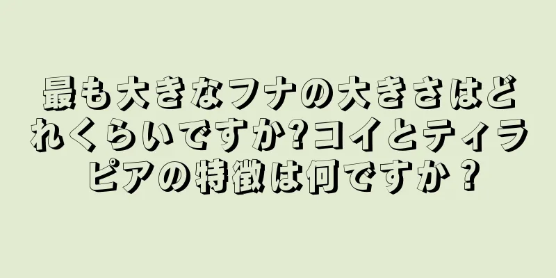 最も大きなフナの大きさはどれくらいですか?コイとティラピアの特徴は何ですか？