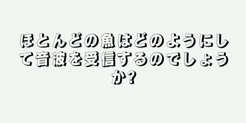 ほとんどの魚はどのようにして音波を受信するのでしょうか?