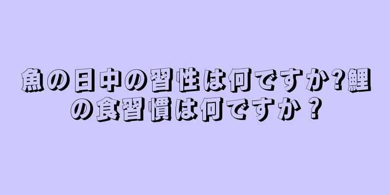 魚の日中の習性は何ですか?鯉の食習慣は何ですか？