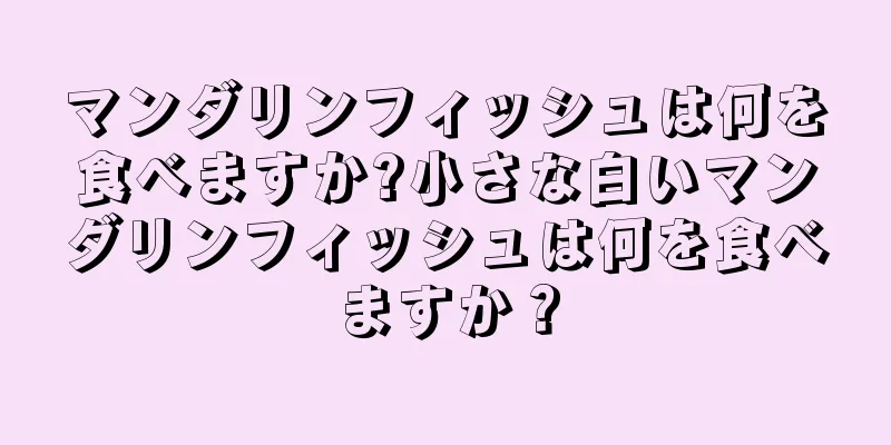 マンダリンフィッシュは何を食べますか?小さな白いマンダリンフィッシュは何を食べますか？