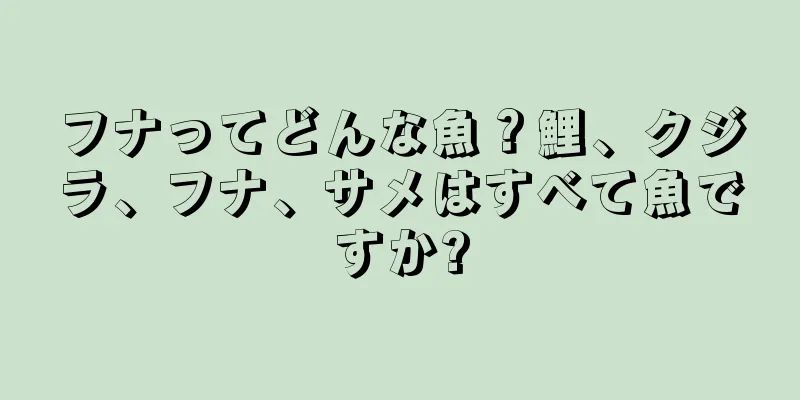 フナってどんな魚？鯉、クジラ、フナ、サメはすべて魚ですか?