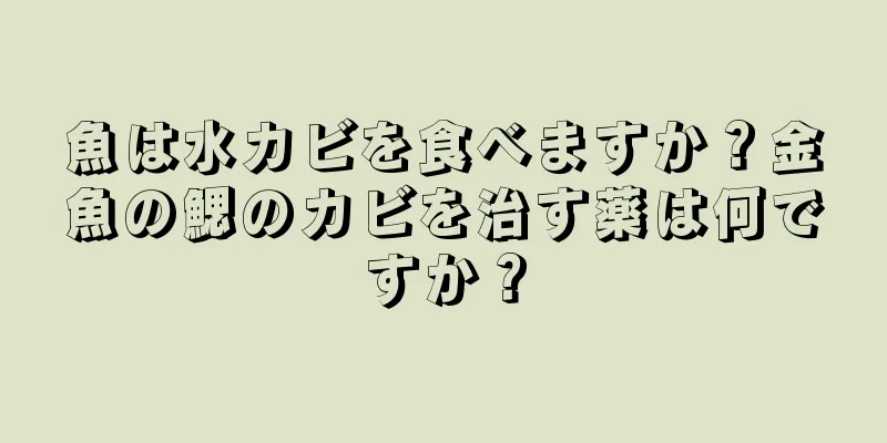 魚は水カビを食べますか？金魚の鰓のカビを治す薬は何ですか？