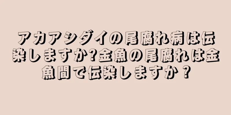 アカアシダイの尾腐れ病は伝染しますか?金魚の尾腐れは金魚間で伝染しますか？