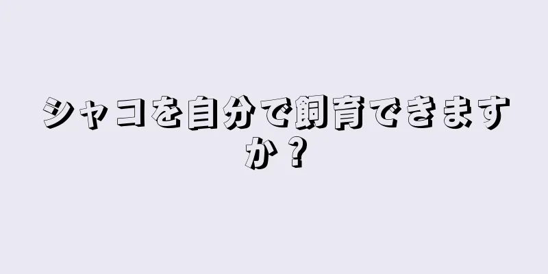 シャコを自分で飼育できますか？