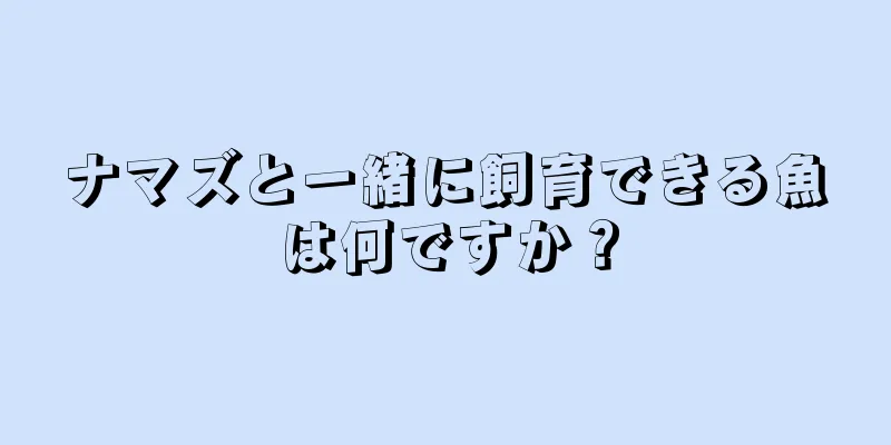 ナマズと一緒に飼育できる魚は何ですか？