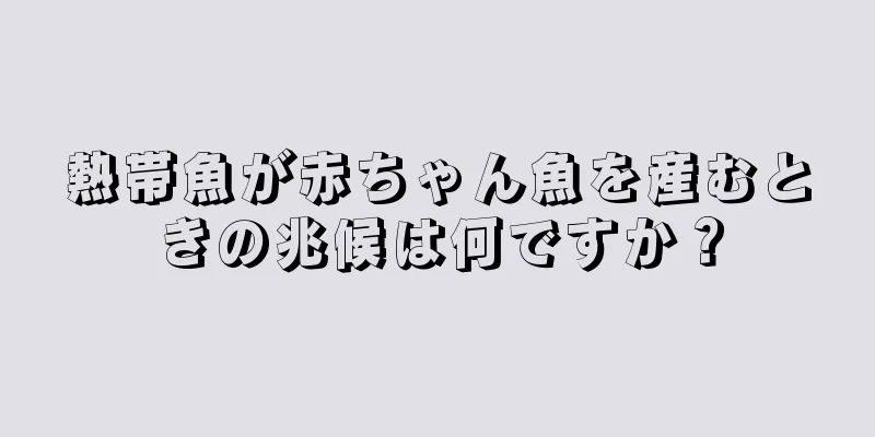熱帯魚が赤ちゃん魚を産むときの兆候は何ですか？