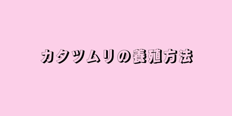 カタツムリの養殖方法