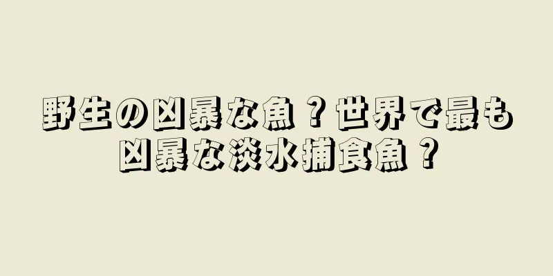 野生の凶暴な魚？世界で最も凶暴な淡水捕食魚？