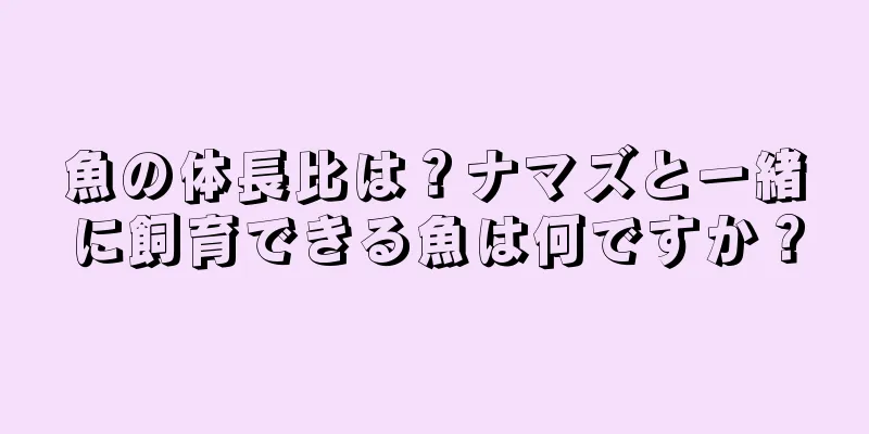 魚の体長比は？ナマズと一緒に飼育できる魚は何ですか？