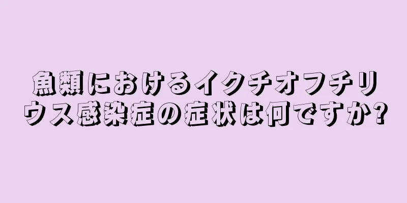 魚類におけるイクチオフチリウス感染症の症状は何ですか?