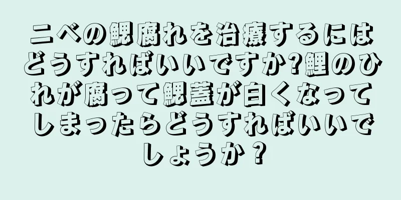 ニベの鰓腐れを治療するにはどうすればいいですか?鯉のひれが腐って鰓蓋が白くなってしまったらどうすればいいでしょうか？