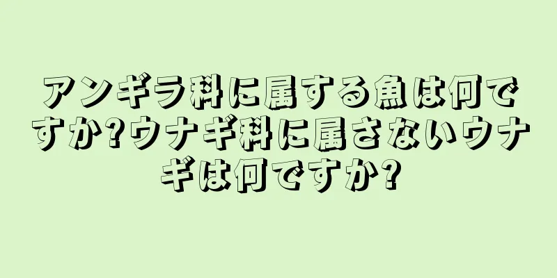 アンギラ科に属する魚は何ですか?ウナギ科に属さないウナギは何ですか?