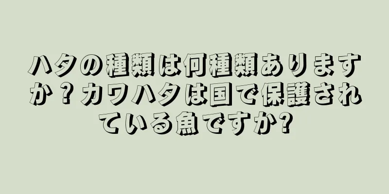 ハタの種類は何種類ありますか？カワハタは国で保護されている魚ですか?