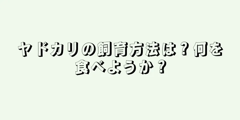 ヤドカリの飼育方法は？何を食べようか？