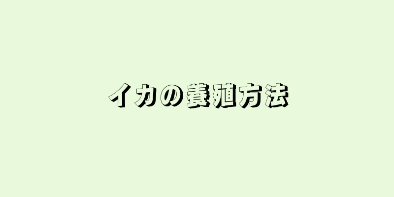 イカの養殖方法