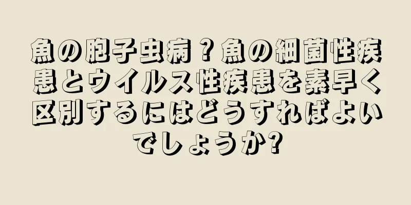 魚の胞子虫病？魚の細菌性疾患とウイルス性疾患を素早く区別するにはどうすればよいでしょうか?