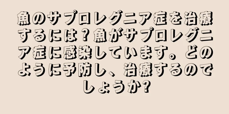 魚のサプロレグニア症を治療するには？魚がサプロレグニア症に感染しています。どのように予防し、治療するのでしょうか?