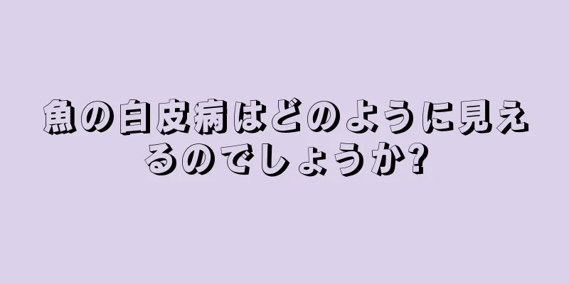 魚の白皮病はどのように見えるのでしょうか?