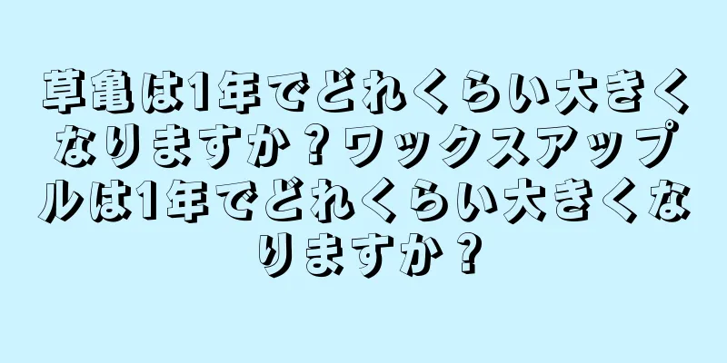 草亀は1年でどれくらい大きくなりますか？ワックスアップルは1年でどれくらい大きくなりますか？