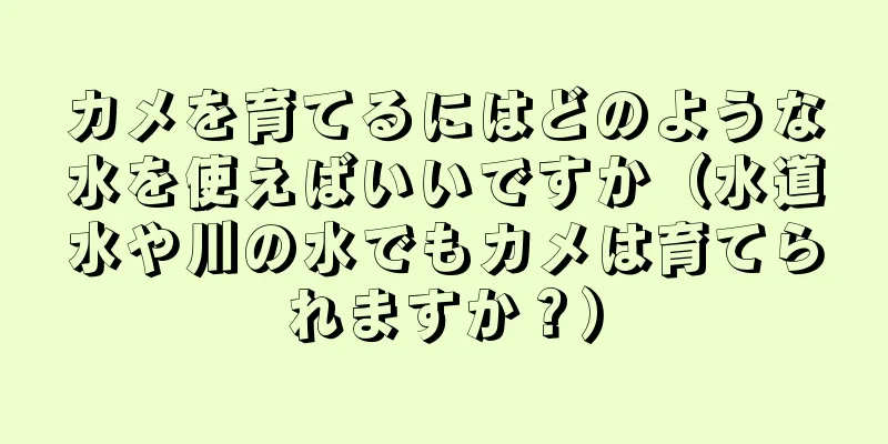 カメを育てるにはどのような水を使えばいいですか（水道水や川の水でもカメは育てられますか？）