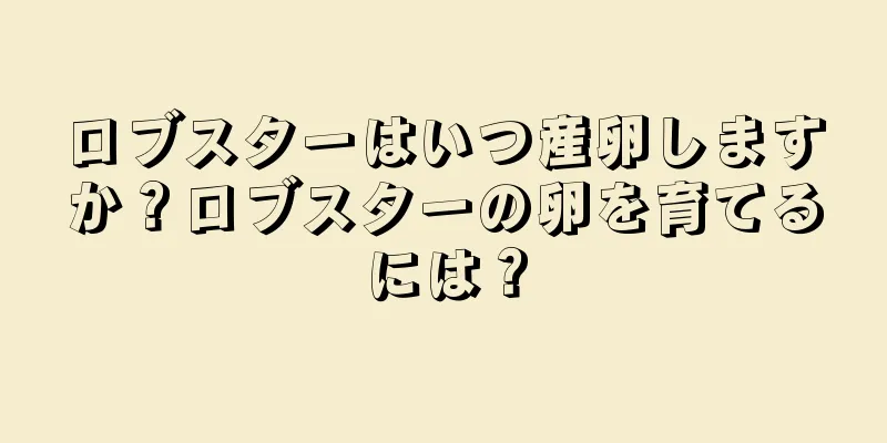 ロブスターはいつ産卵しますか？ロブスターの卵を育てるには？