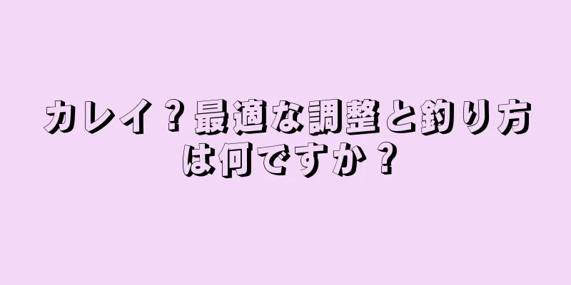 カレイ？最適な調整と釣り方は何ですか？