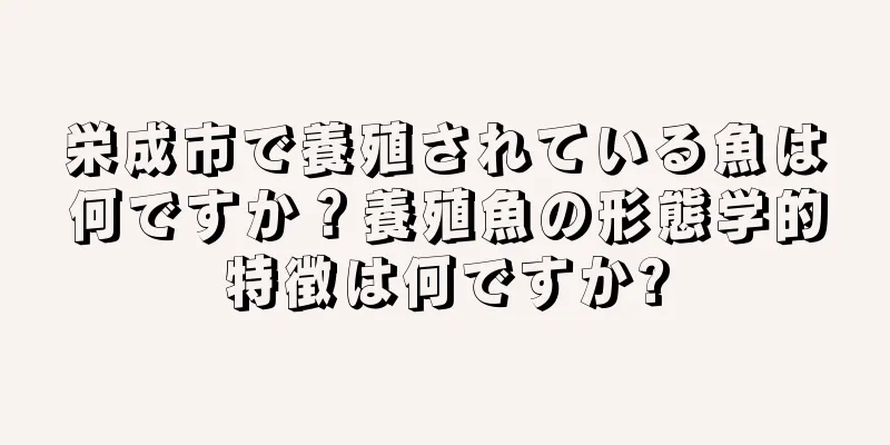 栄成市で養殖されている魚は何ですか？養殖魚の形態学的特徴は何ですか?