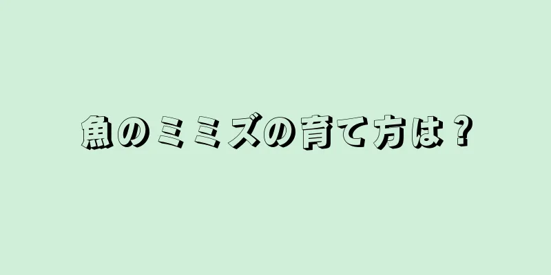 魚のミミズの育て方は？