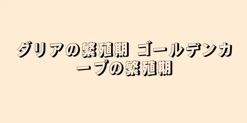 ダリアの繁殖期 ゴールデンカープの繁殖期