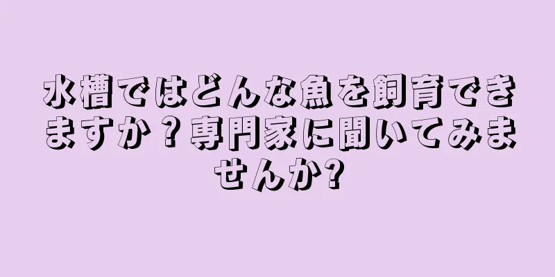 水槽ではどんな魚を飼育できますか？専門家に聞いてみませんか?