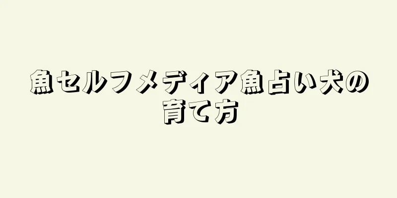 魚セルフメディア魚占い犬の育て方
