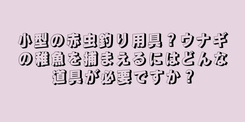 小型の赤虫釣り用具？ウナギの稚魚を捕まえるにはどんな道具が必要ですか？