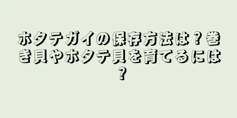 ホタテガイの保存方法は？巻き貝やホタテ貝を育てるには？