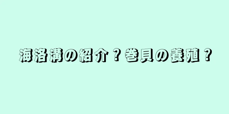海洛溝の紹介？巻貝の養殖？