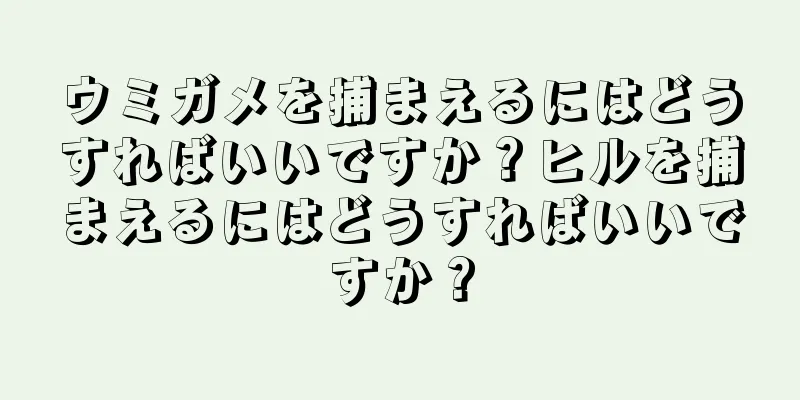 ウミガメを捕まえるにはどうすればいいですか？ヒルを捕まえるにはどうすればいいですか？