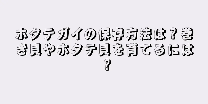 ホタテガイの保存方法は？巻き貝やホタテ貝を育てるには？