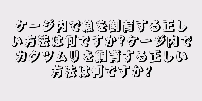 ケージ内で魚を飼育する正しい方法は何ですか?ケージ内でカタツムリを飼育する正しい方法は何ですか?