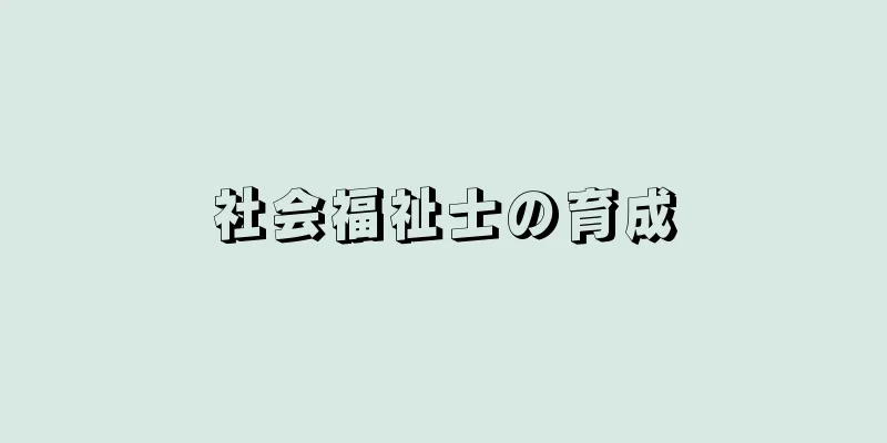 社会福祉士の育成