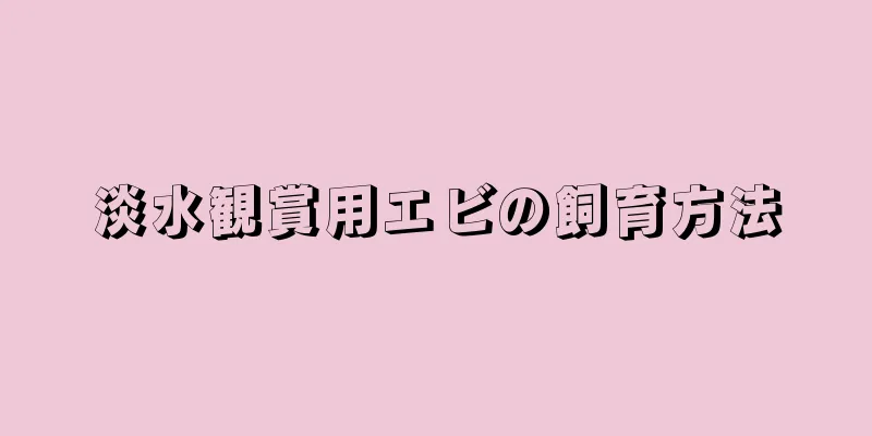 淡水観賞用エビの飼育方法