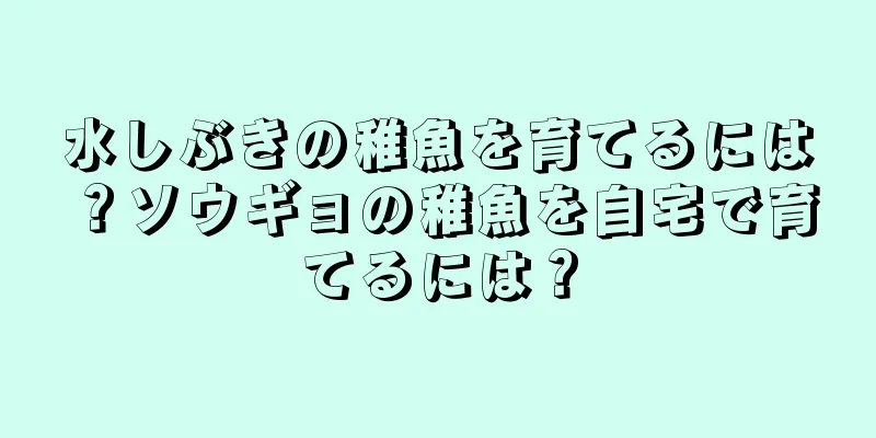 水しぶきの稚魚を育てるには？ソウギョの稚魚を自宅で育てるには？