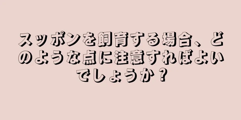スッポンを飼育する場合、どのような点に注意すればよいでしょうか？