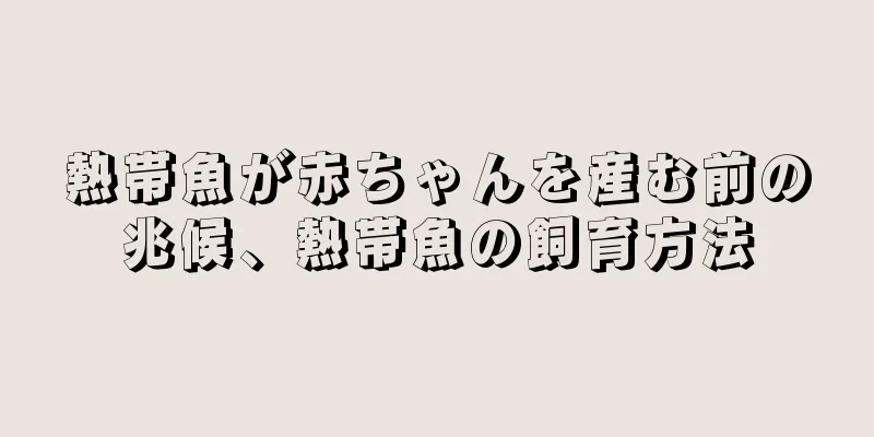 熱帯魚が赤ちゃんを産む前の兆候、熱帯魚の飼育方法