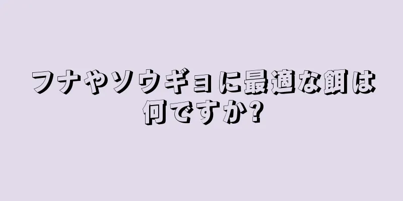 フナやソウギョに最適な餌は何ですか?
